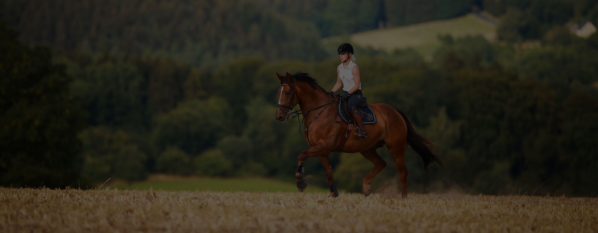 DEVENIR PROPRIÉTAIRE DE CHEVAL